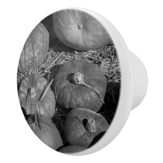 Pumpkin Patch Keramikknauf (Rechts)