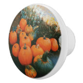 Pumpkin Patch Keramikknauf (Rechts)