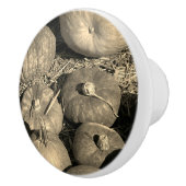 Pumpkin Patch Keramikknauf (Rechts)