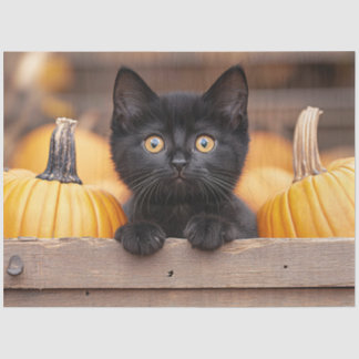 Pumpkin Patch Kitten Decoupage Seidenpapier
