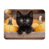 Pumpkin Patch Kitten flexibel Magnet (Horizontal)