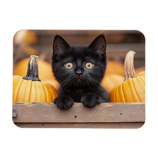 Pumpkin Patch Kitten flexibel Magnet