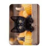 Pumpkin Patch Kitten flexibel Magnet (Vertikal)