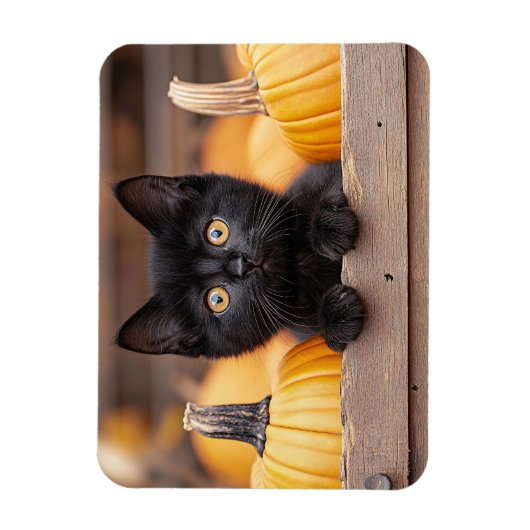 Pumpkin Patch Kitten flexibel Magnet (Vertikal)