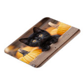 Pumpkin Patch Kitten flexibel Magnet (Linke Seite)