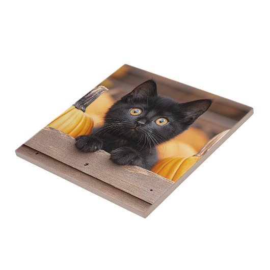 Pumpkin Patch Kitten Fliese (Seite)