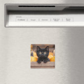Pumpkin Patch Kitten Magnet (In Situ (Geschirrspüler))
