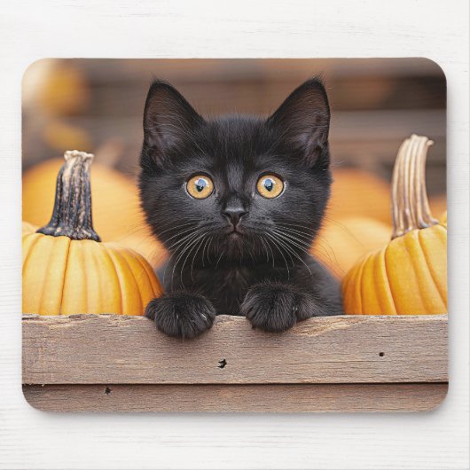Pumpkin Patch Kitten Mousepad (Vorne)