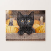 Pumpkin Patch Kitten Puzzle (Horizontal)