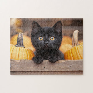 Pumpkin Patch Kitten Puzzle