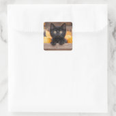 Pumpkin Patch Kitten Quadratischer Aufkleber (Tasche)