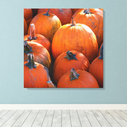 Pumpkin Patch Leinwanddruck (Insitu (Holzboden))