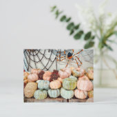 Pumpkin Patch Magic Postcard Postkarte (Stehend Vorderseite)