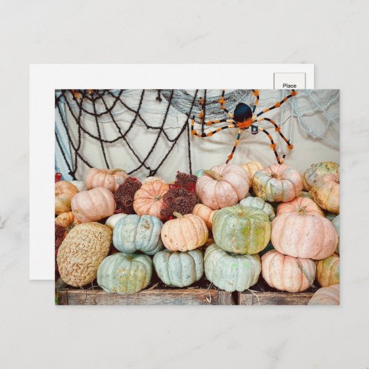 Pumpkin Patch Magic Postcard Postkarte (Vorne/Hinten)