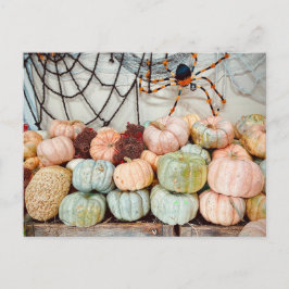Pumpkin Patch Magic Postcard Postkarte