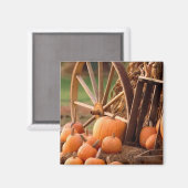 Pumpkin Patch Magnet (Vorderseite/Rückseite)