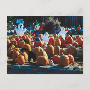 Pumpkin Patch mit Ghosts - Postcard Postkarte