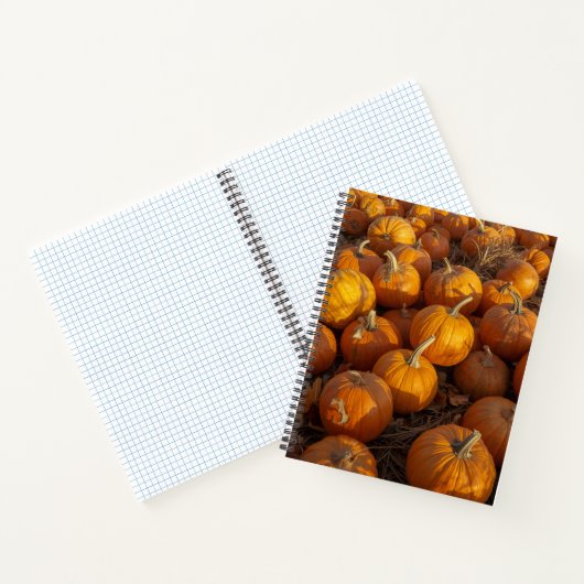 Pumpkin-Patch-Notebook Notizblock (Innenseite)