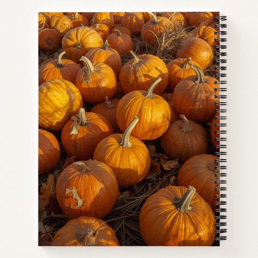 Pumpkin-Patch-Notebook Notizblock (Rückseite)