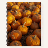 Pumpkin-Patch-Notebook Notizblock (Vorderseite)