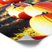 Pumpkin Patch Poster (Ecke)