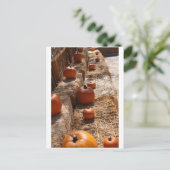 Pumpkin Patch Postkarte (Stehend Vorderseite)