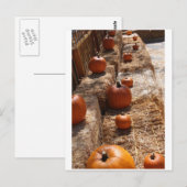 Pumpkin Patch Postkarte (Vorne/Hinten)