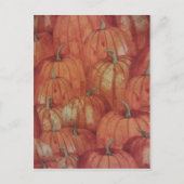 Pumpkin Patch Postkarte (Vorderseite)