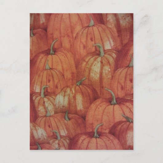 Pumpkin Patch Postkarte (Vorderseite)