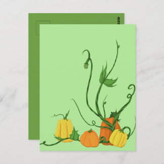 Pumpkin Patch Postkarte