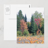 Pumpkin Patch Postkarte (Vorne/Hinten)