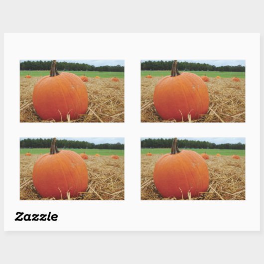 Pumpkin Patch Rechteckiger Aufkleber (Blatt)