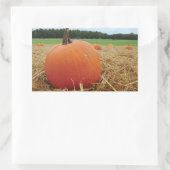 Pumpkin Patch Rechteckiger Aufkleber (Tasche)