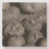 Pumpkin Patch Steinuntersetzer (Vorderseite)