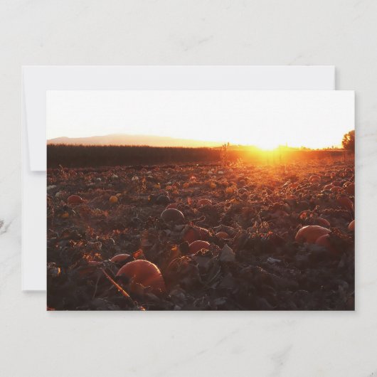Pumpkin Patch Sunset B Einladung (Vorderseite)