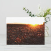 Pumpkin Patch Sunset B Einladung (Stehend Vorderseite)