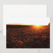 Pumpkin Patch Sunset B Einladung (Vorne/Hinten)