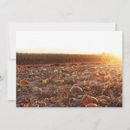 Pumpkin Patch Sunset C Einladung (Vorderseite)