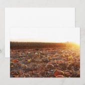 Pumpkin Patch Sunset C Einladung (Vorne/Hinten)