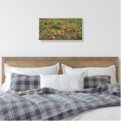 Pumpkin Patch Wall Art Leinwanddruck (Insitu (Schlafzimmer))