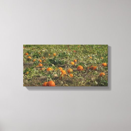 Pumpkin Patch Wall Art Leinwanddruck (Vorderseite)