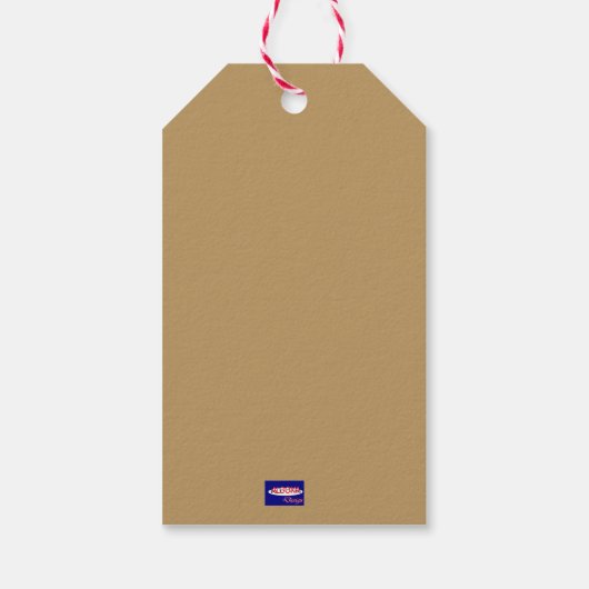 Pumpkin Pattern Geschenk Tag Geschenkanhänger (Rückseite)