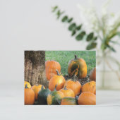 Pumpkin-Pflaster durch einen Baum Postkarte (Stehend Vorderseite)