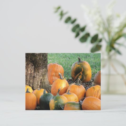 Pumpkin-Pflaster durch einen Baum Postkarte (Stehend Vorderseite)