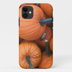 Pumpkin Pile! iPhone 11 Hülle