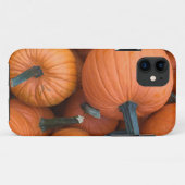 Pumpkin Pile! Case-Mate iPhone Hülle (Rückseite (Horizontal))