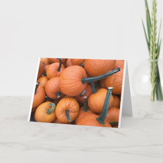 Pumpkin Pile! Feiertagskarte (Vorderseite)