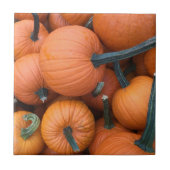 Pumpkin Pile! Fliese (Vorderseite)