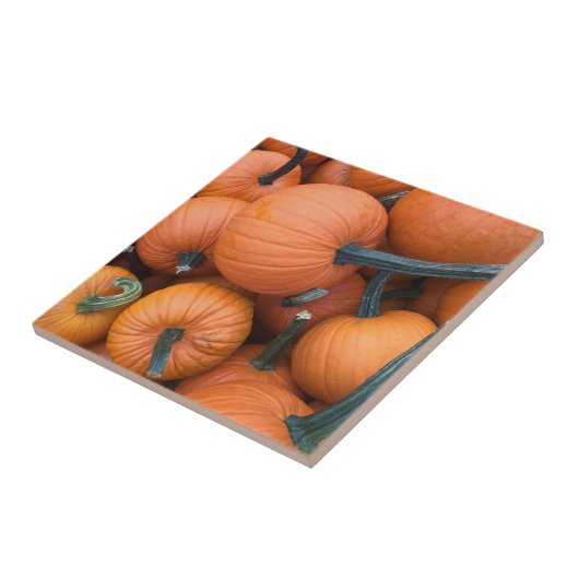 Pumpkin Pile! Fliese (Seite)