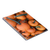 Pumpkin Pile! Notizblock (Rechte Seite)